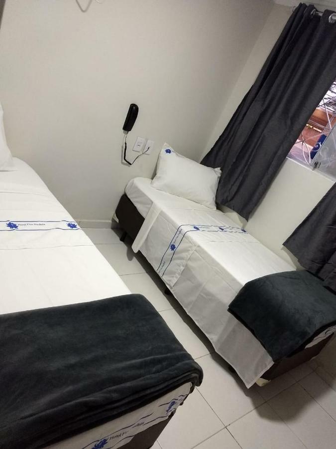 Hotel Flor Paulista São Paulo Eksteriør billede